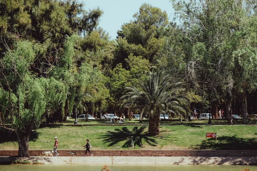 A 9,000-Step Habit That May Extend Your Life