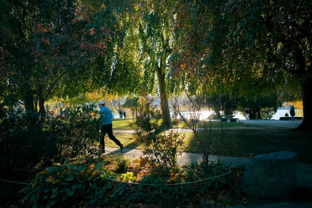 Cortisol and Adrenaline for Energy and Immunity