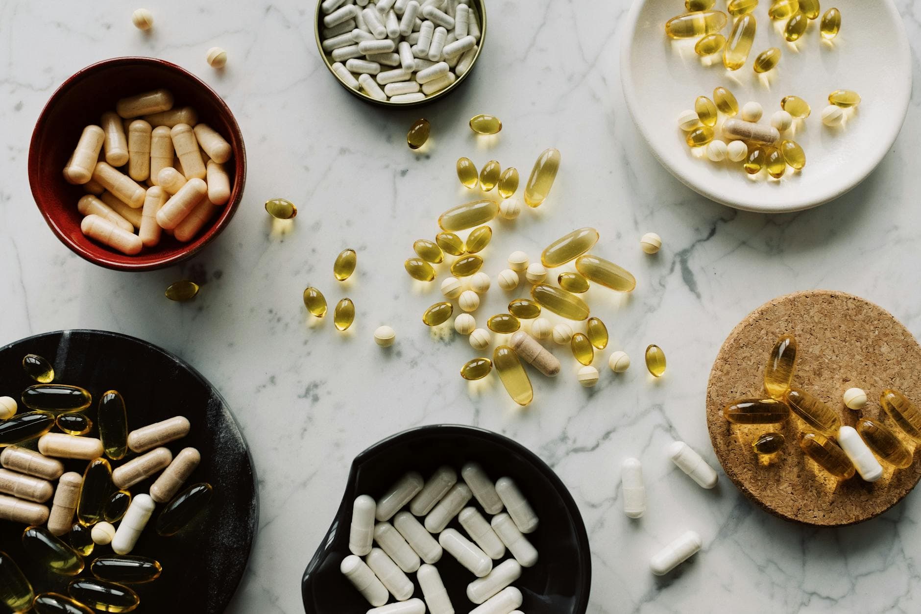 Probiotics on immunosuppressants: is it safe?