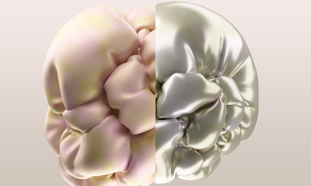Male vs Female Brain Differences, Genes, Hormones