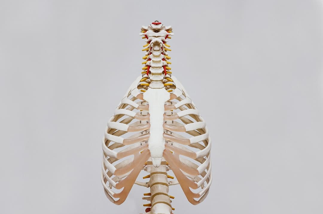 REMS vs DEXA: Doctors Explain Bone Density Testing